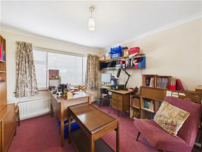 Picture 16